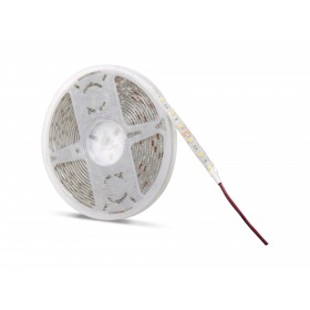 Noas 12V 4040 Dış Mekan Şerit Led 5 Metre